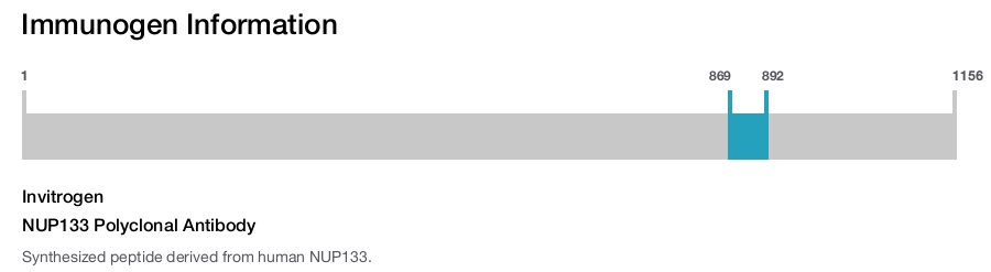NUP133 Polyclonal Antibody