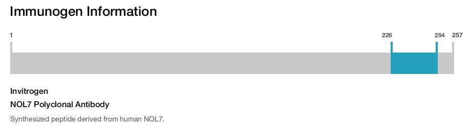 NOL7 Polyclonal Antibody