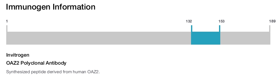 OAZ2 Polyclonal Antibody