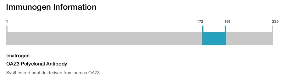 OAZ3 Polyclonal Antibody