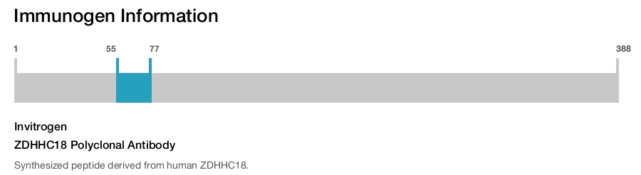 ZDHHC18 Polyclonal Antibody