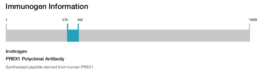 PREX1 Polyclonal Antibody