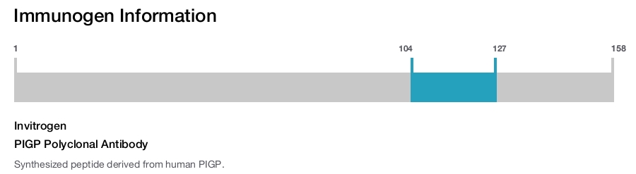 PIGP Polyclonal Antibody