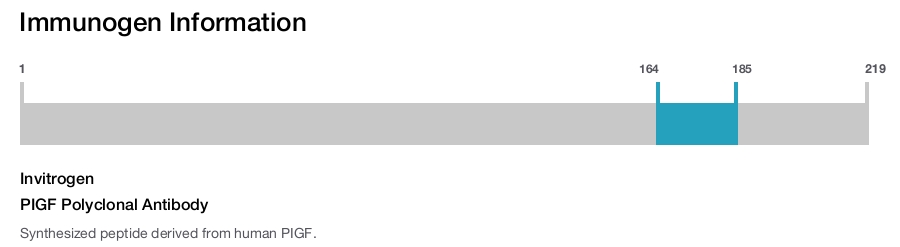 PIGF Polyclonal Antibody