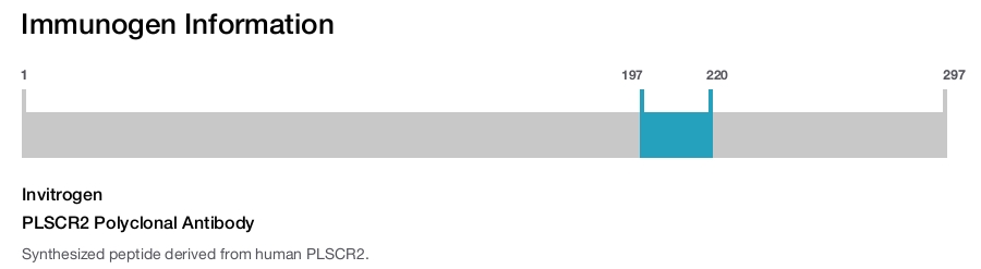 PLSCR2 Polyclonal Antibody