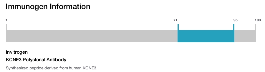 KCNE3 Polyclonal Antibody