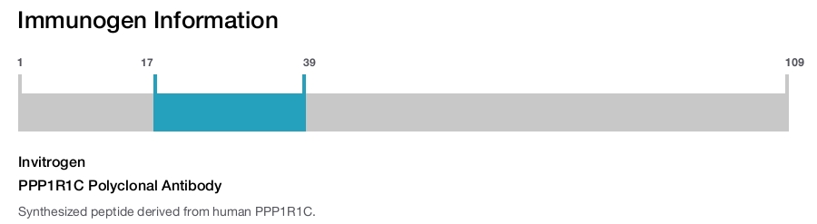 PPP1R1C Polyclonal Antibody