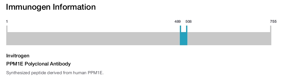 PPM1E Polyclonal Antibody
