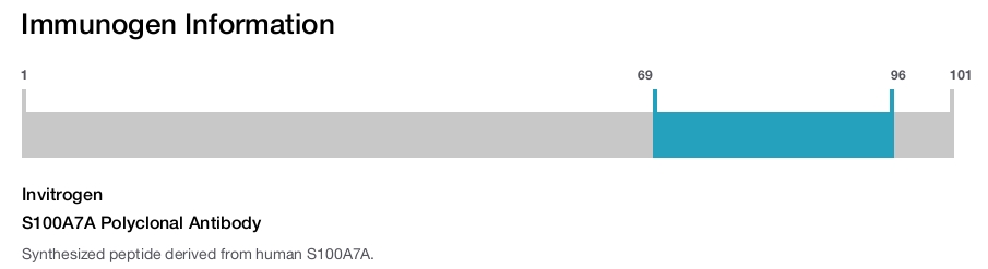 S100A7A Polyclonal Antibody