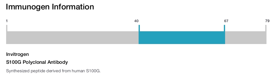 S100G Polyclonal Antibody