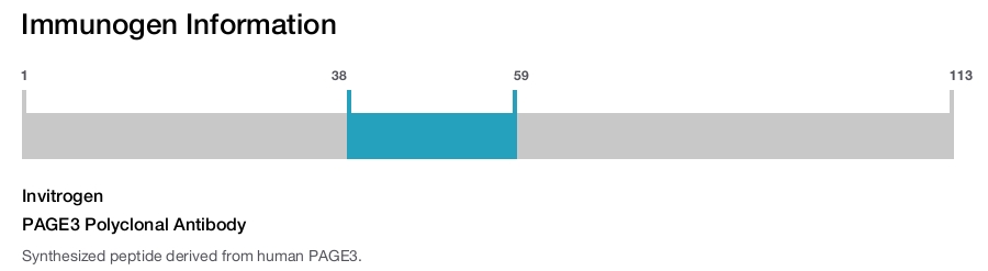 PAGE3 Polyclonal Antibody
