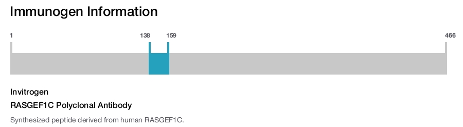 RASGEF1C Polyclonal Antibody