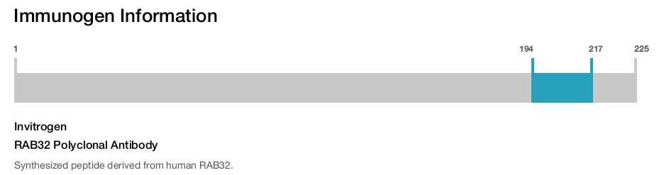 RAB32 Polyclonal Antibody