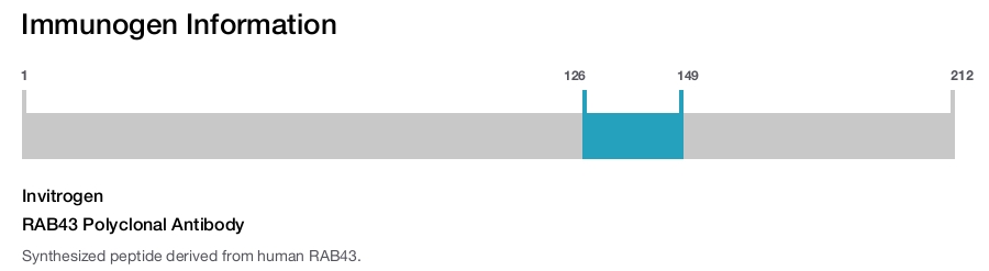 RAB43 Polyclonal Antibody