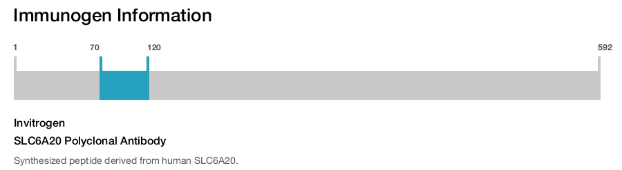 SLC6A20 Polyclonal Antibody