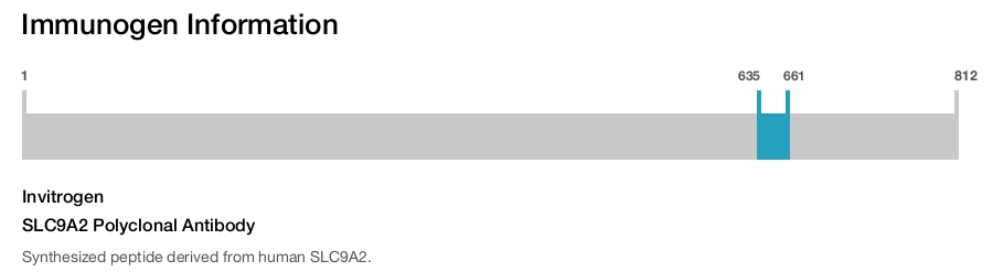 SLC9A2 Polyclonal Antibody