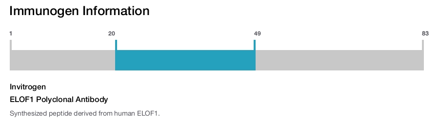 ELOF1 Polyclonal Antibody