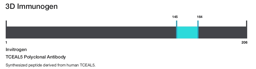 TCEAL5 Polyclonal Antibody