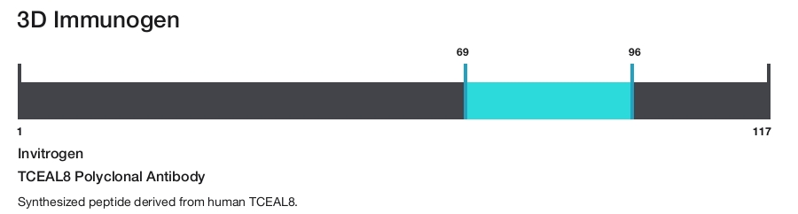 TCEAL8 Polyclonal Antibody