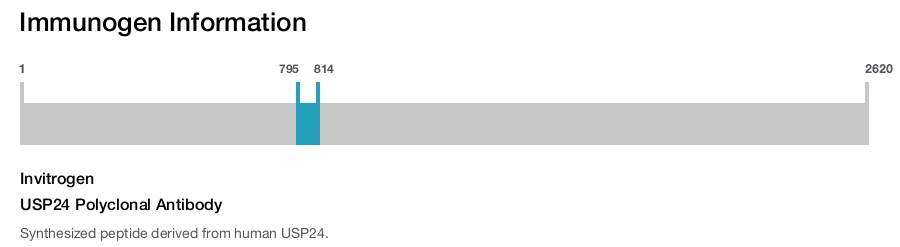 USP24 Polyclonal Antibody