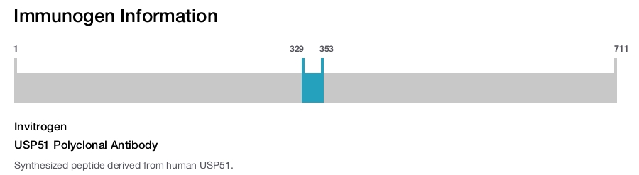 USP51 Polyclonal Antibody