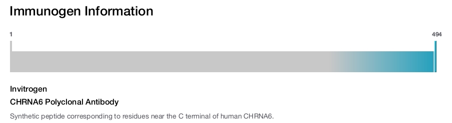 CHRNA6 Polyclonal Antibody