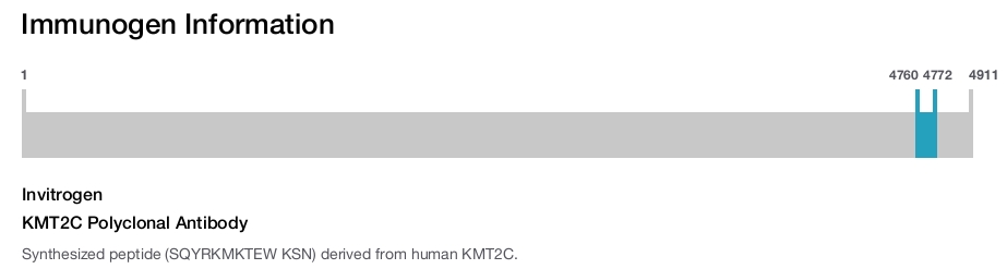 KMT2C Polyclonal Antibody