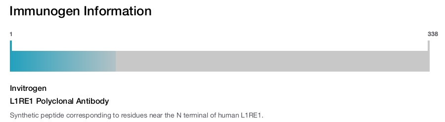L1RE1 Polyclonal Antibody