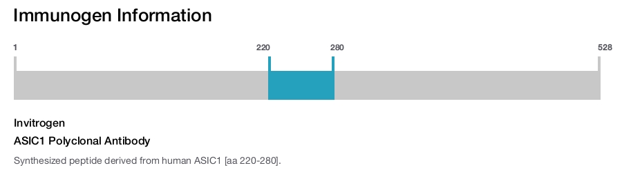ASIC1 Polyclonal Antibody