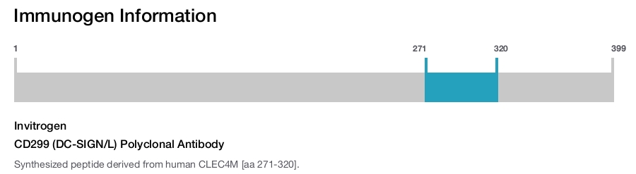 CD299 (DC-SIGN/L) Polyclonal Antibody