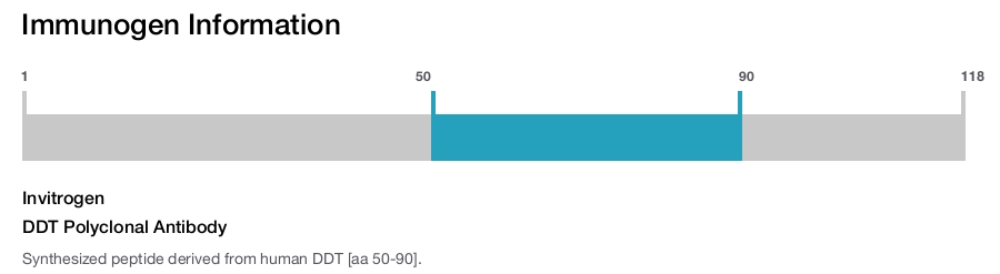 DDT Polyclonal Antibody