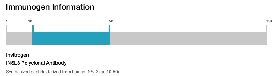 INSL3 Polyclonal Antibody