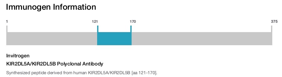 KIR2DL5A/KIR2DL5B Polyclonal Antibody
