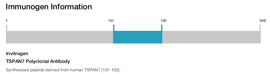TSPAN7 Polyclonal Antibody