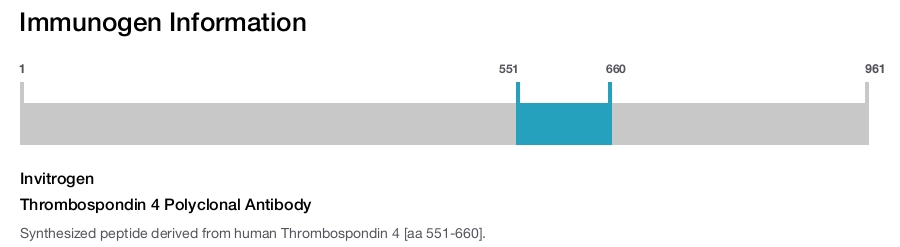 Thrombospondin 4 Polyclonal Antibody