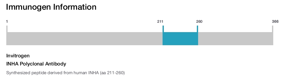 INHA Polyclonal Antibody