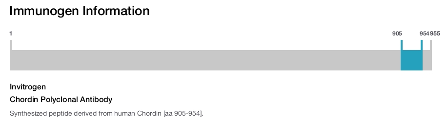 Chordin Polyclonal Antibody