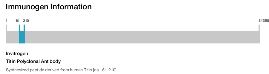 Titin Polyclonal Antibody