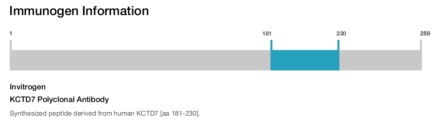KCTD7 Polyclonal Antibody
