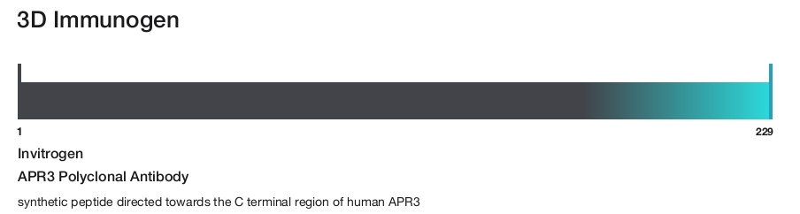 APR3 Polyclonal Antibody