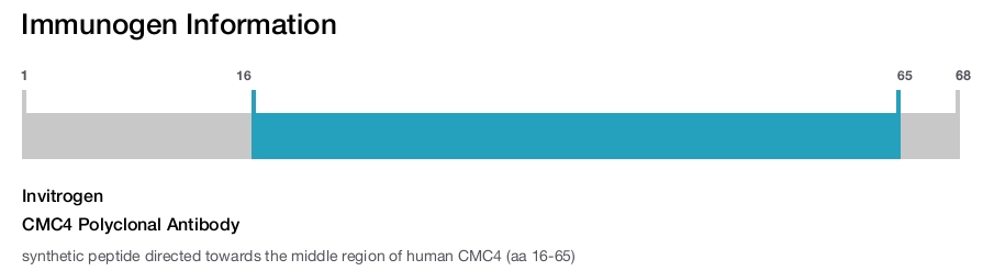 CMC4 Polyclonal Antibody