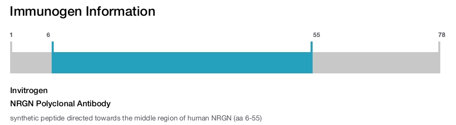 NRGN Polyclonal Antibody