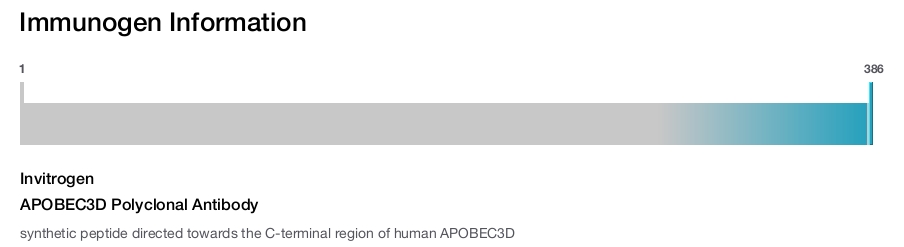 APOBEC3D Polyclonal Antibody