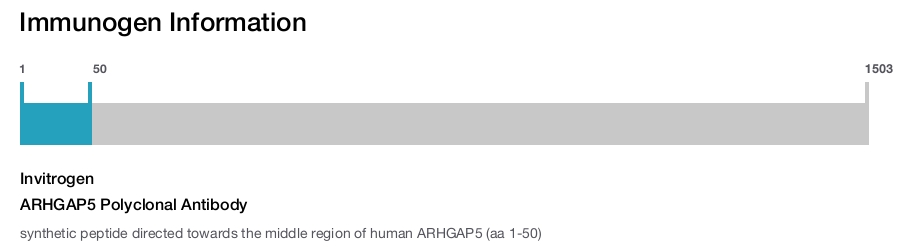 ARHGAP5 Polyclonal Antibody