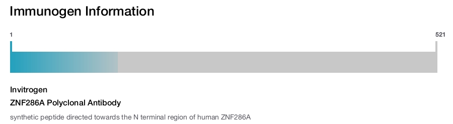 ZNF286A Polyclonal Antibody