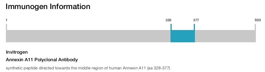 Annexin A11 Polyclonal Antibody