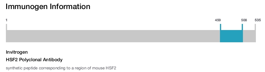 HSF2 Polyclonal Antibody