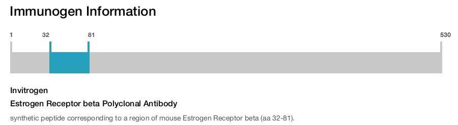 Estrogen Receptor beta Polyclonal Antibody