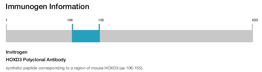HOXD3 Polyclonal Antibody