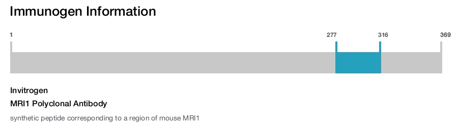 MRI1 Polyclonal Antibody